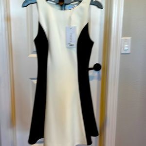 Black and White Block Dress